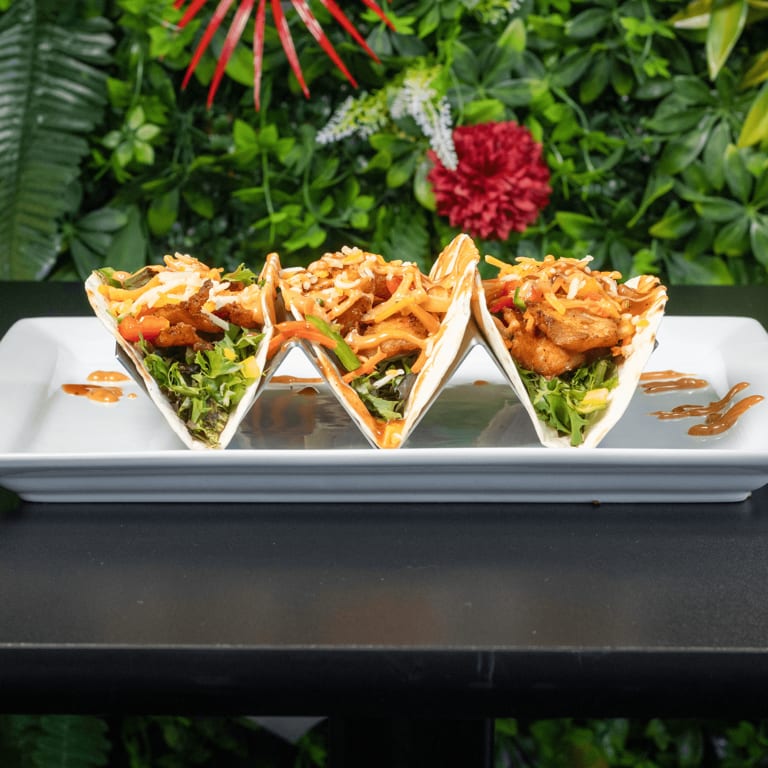 Savor Our Fish Dishes
